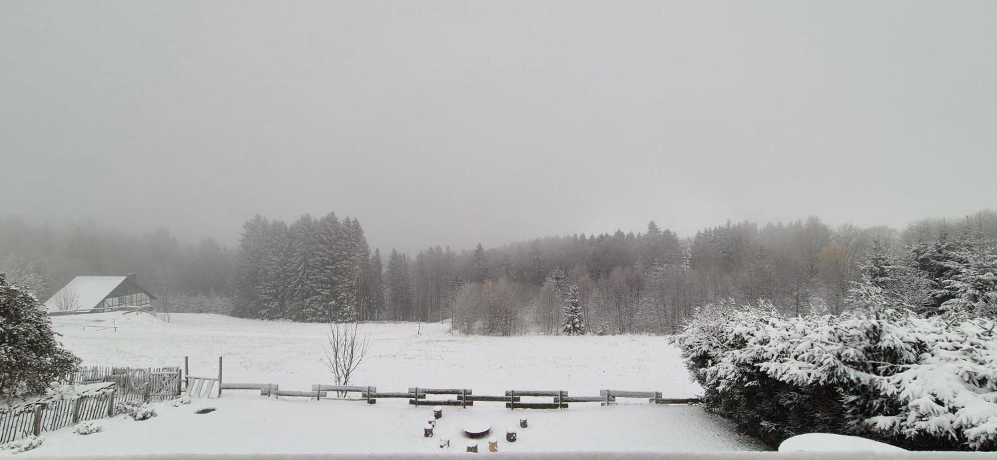 Waldzauber-winterberg Ferienhaus
